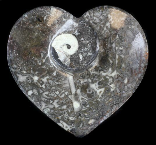 Heart Shaped Fossil Goniatite Dish #36293